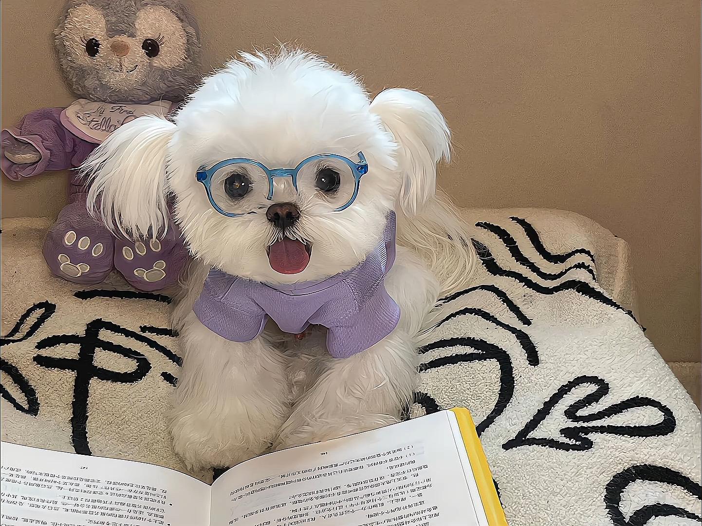 初中七年级下册 - Unit 5